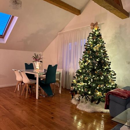 Attic 33 Apartment Campulung Moldovenesc Bagian luar foto