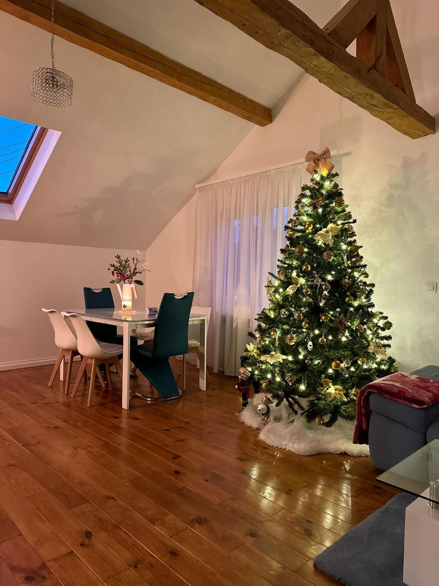 Attic 33 Apartment Campulung Moldovenesc Bagian luar foto